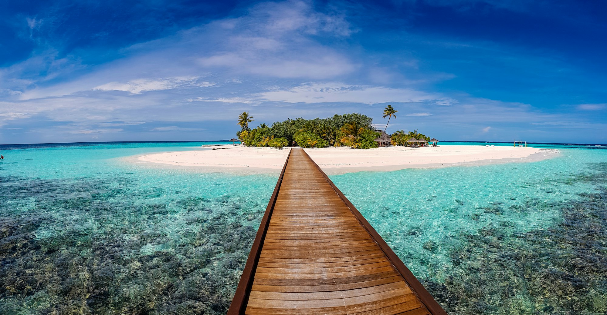 Hammock between palm trees on a tropical beach